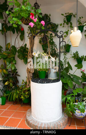 Traditionelle mit Blumen dekorierte Terrasse in Cordoba, Spanien, duriing das Festival de los Patios Cordobeses Laguna Stockfoto