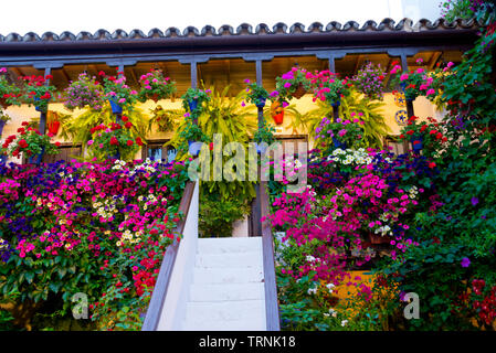 Traditionelle mit Blumen dekorierte Terrasse in Cordoba, Spanien, duriing das Festival de los Patios Cordobeses Laguna Stockfoto