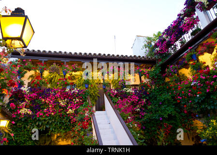 Traditionelle mit Blumen dekorierte Terrasse in Cordoba, Spanien, duriing das Festival de los Patios Cordobeses Laguna Stockfoto