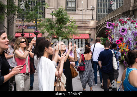 Hendrick's Gin Hochsommer Solstice Tastingfall bei Pershing Square in New York City, USA Stockfoto