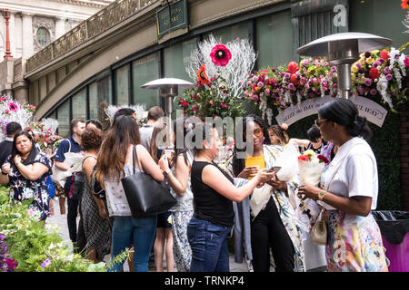 Hendrick's Gin Hochsommer Solstice Tastingfall bei Pershing Square in New York City, USA Stockfoto