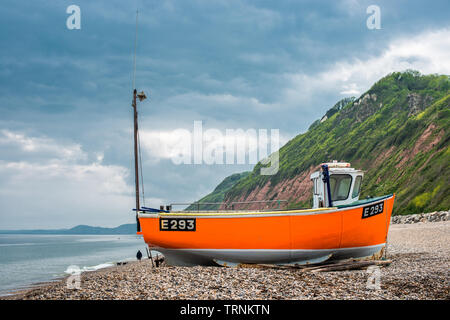 Angelboot/Fischerboot auf Branscombe Strand, Devon, England, UK Stockfoto