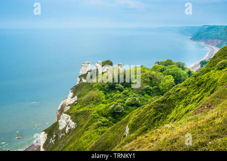 Bier Kopf gegen Branscombe Mund, der Spencer Court ist ein Naturparadies in Kreidefelsen. Devon, Großbritannien Stockfoto