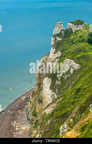 Bier Kopf gegen Branscombe Mund, der Spencer Court ist ein Naturparadies in Kreidefelsen. Devon, Großbritannien Stockfoto