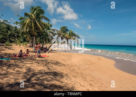 La Perle Strand von Basse-Terre auf der französischen Insel Guadeloupe in der Antillen