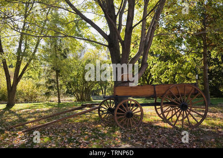 Antike Wagen im Vorgarten im Herbst Stockfoto