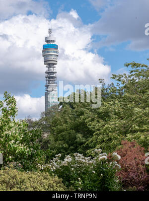 Iconic BT Tower von der BT-Gruppe, von Park Square und Park Crescent Gärten gesehen. Während die Londoner offenen Garten fotografiert Quadrate Wochenende Stockfoto