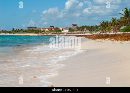 Tulum Strand, mit Algen günstig im Sand, die in der mexikanischen Halbinsel Yucatan genommen Stockfoto