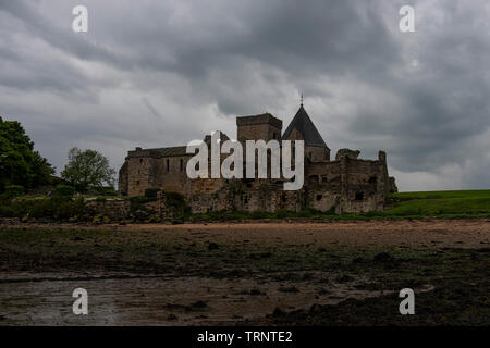 Samstag, 8. Juni 2019: inchcolm Insel in der Firth-of-Forth, Schottland. Stockfoto