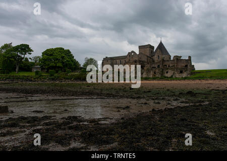 Samstag, 8. Juni 2019: inchcolm Insel in der Firth-of-Forth, Schottland. Stockfoto