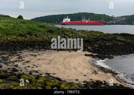 Samstag, 8. Juni 2019: inchcolm Insel in der Firth-of-Forth, Schottland. Der Blick von oben auf die Abtei Stockfoto