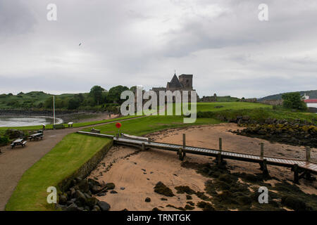 Samstag, 8. Juni 2019: inchcolm Insel in der Firth-of-Forth, Schottland. Stockfoto