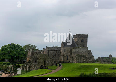 Samstag, 8. Juni 2019: inchcolm Insel in der Firth-of-Forth, Schottland. Stockfoto