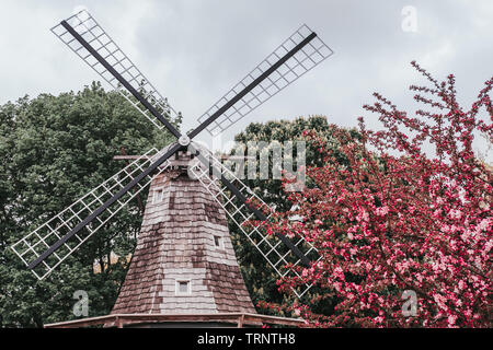 Holländische Windmühle klingen durch Zweige eines rosa blühenden Crabapple Tree bei bedecktem Himmel mit einer jährlichen Tulip Time Festival in Pella, Iowa umgeben. Stockfoto