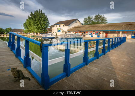 Gura Portitei, Donaudelta, Rumänien - Fischerdorf, Boot mit Blumen gefüllt Stockfoto