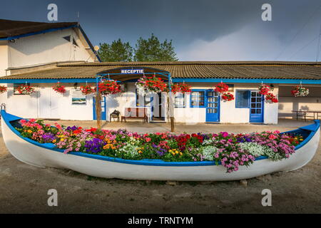 Gura Portitei, Donaudelta, Rumänien - Fischerdorf, Boot mit Blumen gefüllt Stockfoto