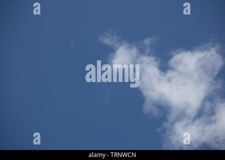 Pferd - geformte Wolke auf der Jagd nach einem Vogel auf den blauen Himmel an einem sonnigen Tag. Stockfoto