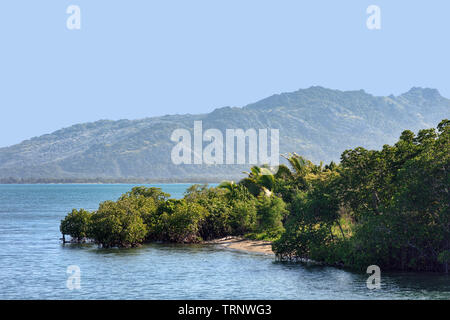 Mangroven in Port Denarau, Nadi, Fidschi Island, South Pacific Stockfoto