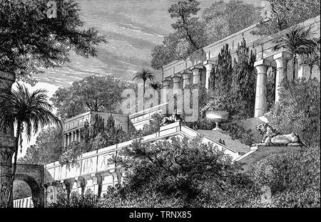 Die Hängenden Gärten von Babylon, eines der Sieben Weltwunder der Antike, wie von der griechischen Kultur aufgeführt, beschrieben als eine bemerkenswerte Leistung der Engineering mit einer aufsteigenden Reihe von abgestuften Gärten mit einer Vielzahl von Bäumen, Sträuchern und Reben, ähnlich einem großen grünen Berg aus Lehmziegeln. Laut einer Legende, die Hängenden Gärten waren neben einem Grand Palace, das Wunder der Menschheit gebaut, von der Neubabylonischen König Nebukadnezar II. (Wer zwischen 605 und 562 v. Chr. regierte), für seine mittlere Frau Königin Amytis. Stockfoto