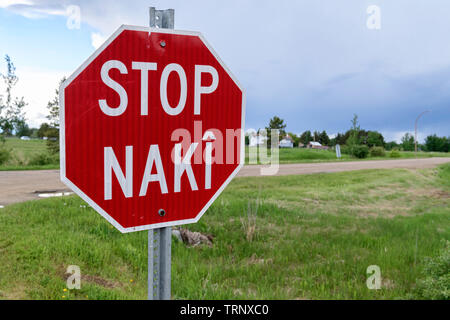 Stop-Schild in zwei Sprachen, Cree und Englisch geschrieben. In der Gemeinschaft der Maskwacis im zentralen Alberta Kanada Stockfoto