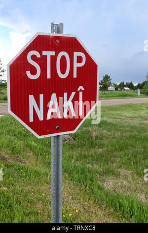 Stop-Schild in zwei Sprachen, Cree und Englisch geschrieben. In der Gemeinschaft der Maskwacis im zentralen Alberta Kanada Stockfoto