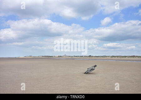 Anthony Gormley Statue einen anderen Platz zum Untergang sands Crosby Strand, Merseyside Stockfoto