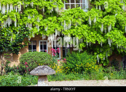 Der Bauerngarten mit weißen Glyzinien in der Blüte auf Stein Wand- und bunten Blumen rund um Pilz Ornament, Cotswolds, Vereinigtes Königreich. Stockfoto