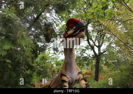 Die weltweit erste Raubtiere Ausstellung in Chester Zoo Stockfoto