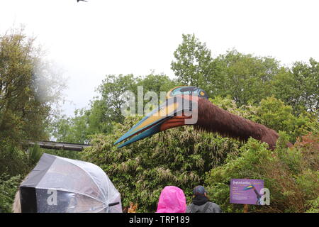 Die weltweit erste Raubtiere Ausstellung in Chester Zoo Stockfoto