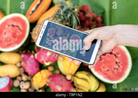 Frau hand Telefon Fotografie von tropischen Früchten. Smartphone Foto, für soziale Medien oder Blogs. Süße Mango, Papaya, Pitahaya, Banane, watermelo Stockfoto