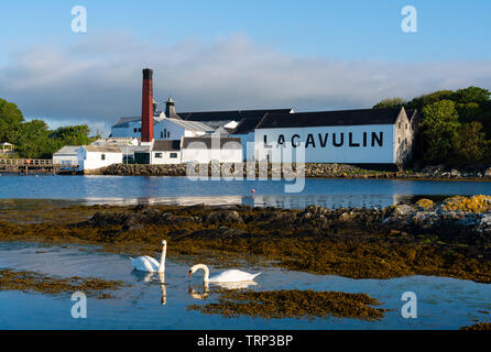 Ansicht der Lagavulin Distillery auf der Insel Islay im Inneren Hebriden von Schottland, Großbritannien Stockfoto