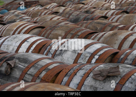 Blick auf Fässer Whisky Bunnahabhain Distillery auf der Insel Islay im Inneren Hebriden von Schottland, Großbritannien Stockfoto