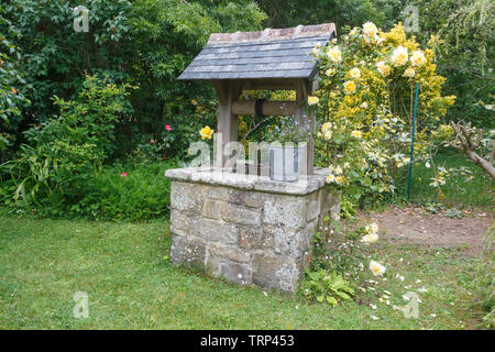 Auch in Stein in einem Garten im Frühling gemacht Stockfoto