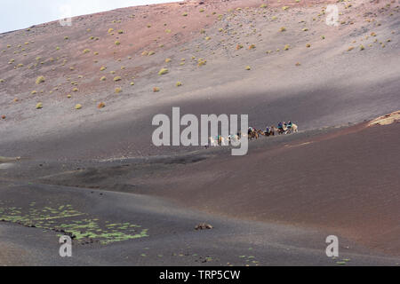 Touristen auf einem Kamelritt in den Nationalpark Timanfaya, LAnzerote. Stockfoto