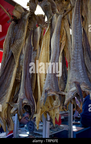 Getrocknete Kabeljau in fischmarkt, Ziel Marktplatz Bereich der VagenHarbor, Bergen, Norwegen Stockfoto