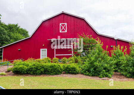 McDonough, Georgia/USA, 9. Juni 2019: Ein Blick auf den hinteren Eingang des Veteran Museaum im Heritage Village im Heritage Park. Stockfoto