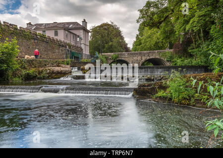 In Tavistock Abbey Brücke überquert den Fluss Tavy außerhalb der westlichen Grenze des Dartmoor in Devon. Stockfoto