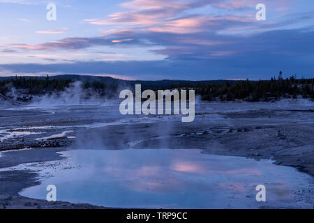 Norris-Geysir-Becken im Yellowstone-Nationalpark Stockfoto