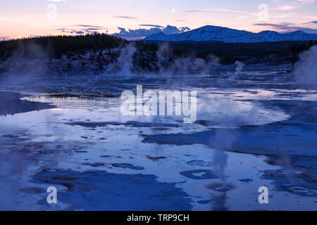 Norris-Geysir-Becken im Yellowstone-Nationalpark Stockfoto