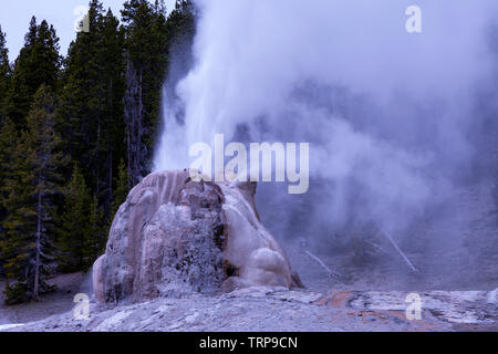 Lone Star Geysir im Yellowstone National Park Stockfoto