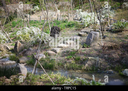 Stein Passage über einen Bach in einem traditionellen japanischen Garten im Frühjahr Stockfoto