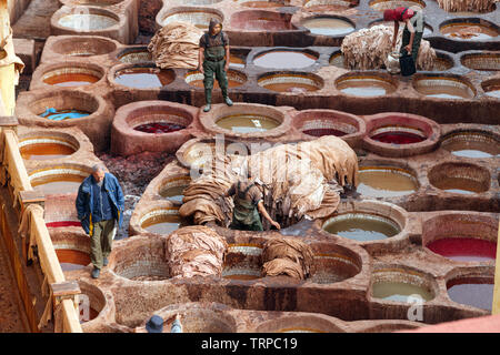 Arbeiter produzieren und Färben von Leder in traditioneller Weise an der Chouara Gerberei. Fez, Marokko. Stockfoto