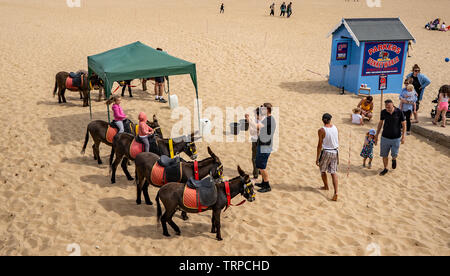 Esel aufgereiht auf Great Yarmouth Strand mit zwei Kinder warten auf eine traditionelle Eselsritt Stockfoto