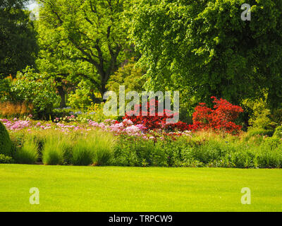 Die hellen Farben des Sommers in Harlow Carr Garten, Harrogate, North Yorkshire, England Stockfoto