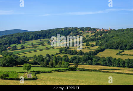 Frankreich, Saone-et-Loire, La Vineuse sur Fregande, landwirtschaftliche Landschaft mit Blick auf das Dorf La Vineuse // Frankreich, Saône-et-Loire (71), La Vi Stockfoto