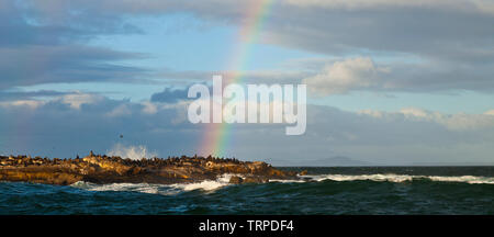 Arco Iris de la Isla de las Focas, False Bay, Sudáfrica, África Stockfoto