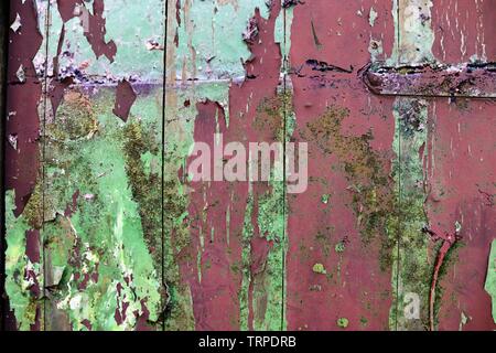 Detaillierte Nahaufnahme auf bunten abblätternde Farbe auf alten und verwitterten Betonwände Stockfoto