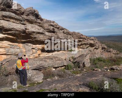 Junge Frau in rotem Oberteil, schwarzer Hose und gelbem Rucksack, Wandern und Fotos auf ihrem iPhone im Grampians National Park Australien Stockfoto