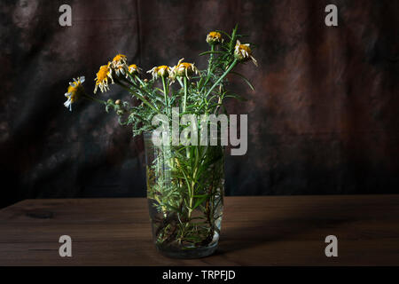 Konzept der Tod. Stillleben mit Verwelkte Blüten in ein Glas mit Wasser auf Holztisch mit dunklem Hintergrund. Stockfoto