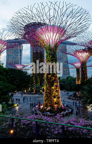 Garten durch die Bucht Licht zeigen, mit Marina Bay Sands, Singapur. Stockfoto